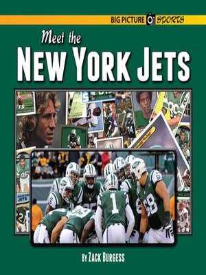 cover image of Meet the New York Jets